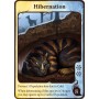 Hibernation (carta promo) - Evolution Climate