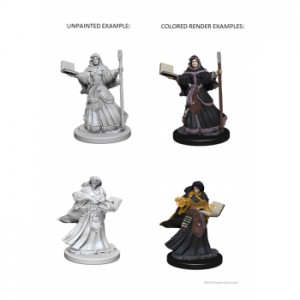 Human Female Wizard (2 Units) - D&D Nolzur's Marvelous Unpainted
Miniatures