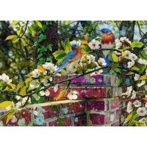 Backyard Blues - Cobble Hill Puzzle 1000 pezzi Backyard Blues - Cobble Hill Puzzle 1000 pezzi