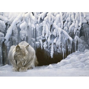 Dozing Lynx - Cobble Hill Puzzle 1000 pezzi Dozing Lynx - Cobble Hill Puzzle 1000 pezzi