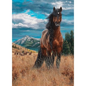 Freedom - Cobble Hill Puzzle 1000 pezzi Freedom - Cobble Hill Puzzle 1000 pezzi
