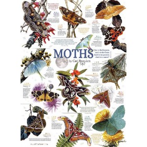 Moth Collection - Cobble Hill Puzzle 1000 pezzi