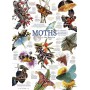 Moth Collection - Cobble Hill Puzzle 1000 Pz.