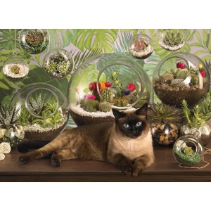 Terrarium Cat - Cobble Hill Puzzle 1000 pezzi Terrarium Cat - Cobble Hill Puzzle 1000 pezzi