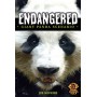 Giant Panda Scenario: Endangered