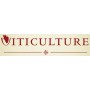 IPERBUNDLE Essential: Viticulture + Tuscany