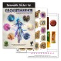 Removable Sticker Set - Forgotten Circle: Gloomhaven Removable Sticker Set - Forgotten Circle: Gloomhaven