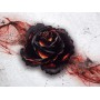 BUNDLE Black Rose Wars Deluxe ITA