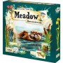Downstream: Meadow Downstream: Meadow